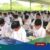 Jam’iyyatul-Qurro-Wal-Huffazh-Program-Unggulan-Tahfidz-Al-Qur’an-di-Al Azhar